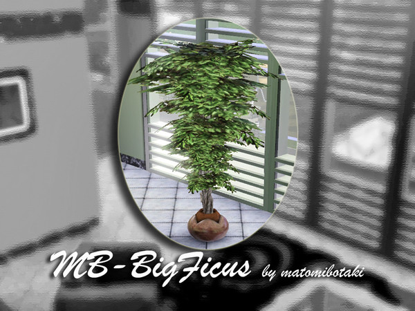 Sims 3 — MB-BigFicus by matomibotaki — MB-BigFicus by matomibotaki, bigger plant mesh for nicer decoration. Enjoy
