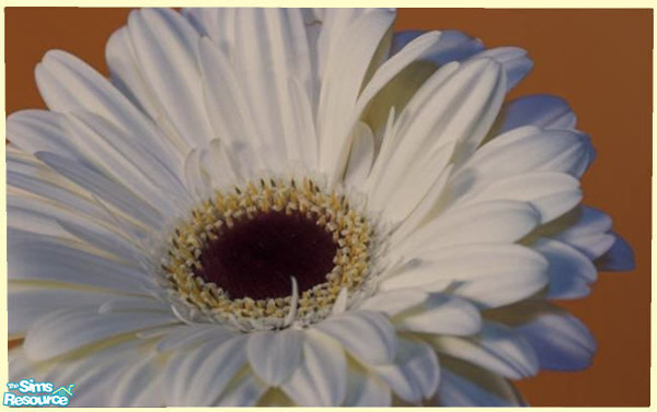 Sims 2 — Picture Flower32 by Muccy — I hope you like it. I would be happy if you give me Feedback, so I know that you