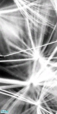 Sims 2 —  by Diana86 — 