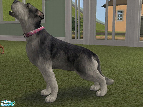 Sims 2 — Sweetie by LaurieR — She loves to fetch!!! Where\'s the stick? She also likes to howl.