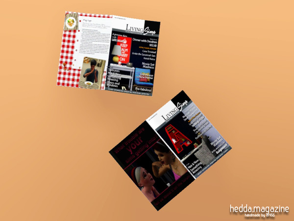 Sims 3 — Hedda Magazine by DT456 — Are you renovating your house, or perhaps a room? And don't you know how to furnish