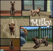 Sims 2 — Milky by allison731 — Milky is a sweet cat who loves to laze in the comfort of home. His personality is: genius,