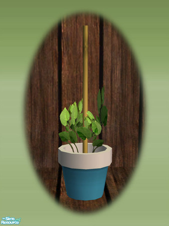 Sims 2 — Garden Shed Seedling - Rec 02 by Shakeshaft — Part of a set to create a Garden Potting Shed for your Sims, set