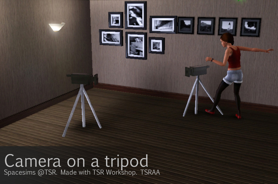 The Sims Resource Camera on a tripod