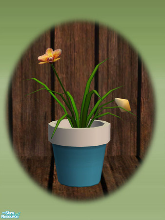 Sims 2 — Garden Shed Orchids - Rec 02 by Shakeshaft — Part of a set to create a Garden Potting Shed for your Sims, set