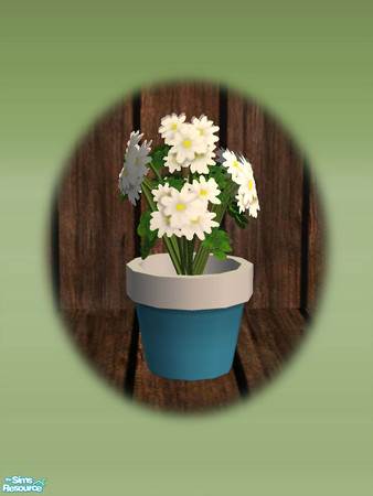 Sims 2 — Garden Shed Daisies - Rec 02 by Shakeshaft — Part of a set to create a Garden Potting Shed for your Sims, set