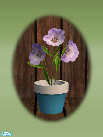 Sims 2 — Garden Shed Small Flower - Rec 02 by Shakeshaft — Part of a set to create a Garden Potting Shed for your Sims,