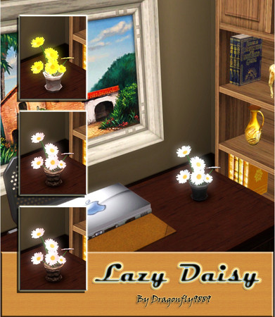 Sims 3 — Lazy Daisy by DragonFly9889 — Every home must have daisies. Don't you just love them? It has 4 different flower