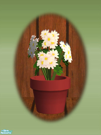 Sims 2 — Garden Shed Daisies - Rec 01 by Shakeshaft — Part of a set to create a Garden Potting Shed for your Sims, set