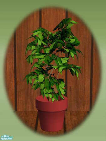 Sims 2 — Garden Shed Pot Plant 02 - Rec 01 by Shakeshaft — Part of a set to create a Garden Potting Shed for your Sims,