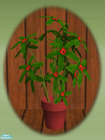 Sims 2 — Garden Shed Pot Plant - Rec 01 by Shakeshaft — Part of a set to create a Garden Potting Shed for your Sims, set