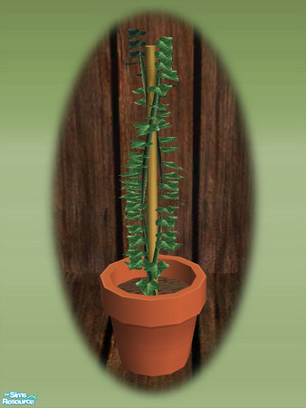 Sims 2 — Garden Shed Ivy Seedling - Mesh by Shakeshaft — Part of a new mesh set to create a Garden Potting Shed for your