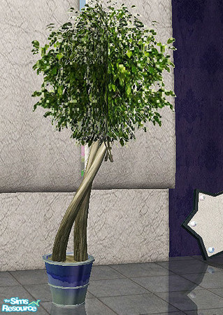 Sims 2 — Lyra - plant by steffor — 