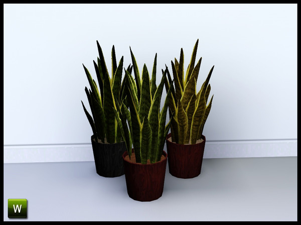 Sims 3 — Avery Sansevieria by sim_man123 — Sansevieria from my Avery Living Room. Made by sim_man123 from TSR. TSRAA.