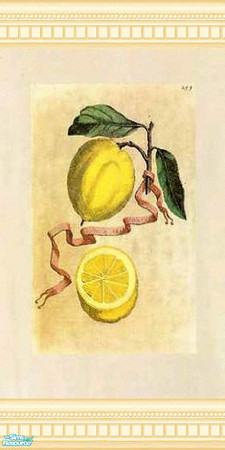 Sims 2 — Lemon by mmbunny — a splash of citrusy warmth for your walls!