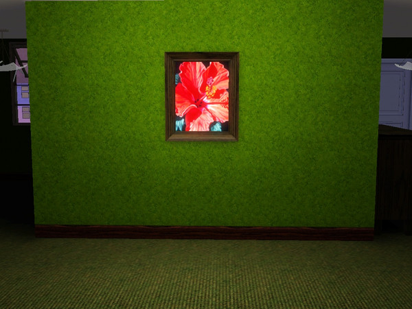 Sims 3 — Aloha Hibiscus by anura32 — The wonderful beauty of the hibiscus brought on the canvas.