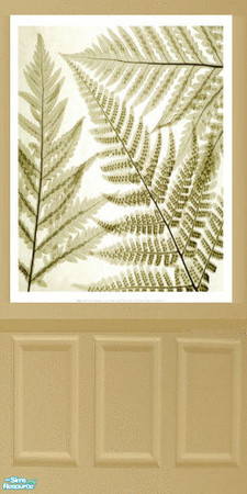Sims 2 — fern wall by mmbunny — nice fern with wainscoting wall for you sim homes