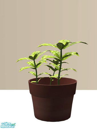 Sims 2 — PB Kitchen Decoset - Potted Basil by ShinoKCR — 