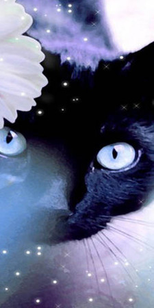 Sims 3 — MysticalCat2 by Rennara — No Description