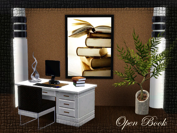 Sims 3 — Books Picture 1 by chemy — Large open book picture for your office or library.