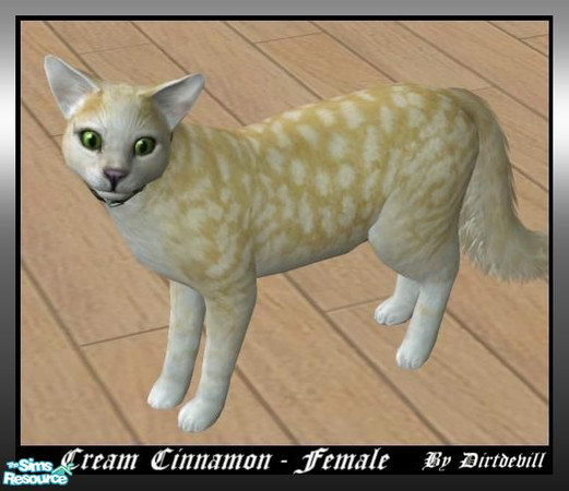 Sims 2 — Cream Cinnamon Cat by Dirtdevill — Long time ago, Cinnanmon cats were discovered by the crew of the Flying