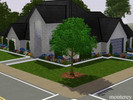 Sims 3 — Monterey by mandax50 — This single family home is located in Quail Village on Creekwater Road. This 2 bedroom, 2