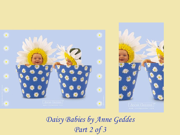 Sims 3 — DaisyBabies2 by Rennara — Inspired by Anne Geddes babies and daisies this is a set for your wee sims in