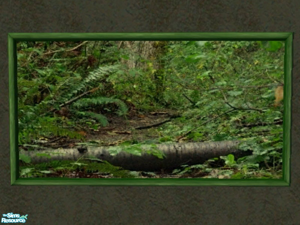 Sims 2 — It\'s A Green World After All photo set - 3 by zaligelover2 — A recolor of \'Suspense\'.