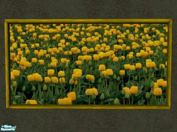 Sims 2 — It\'s A Yellow World After All photo set - 2 by zaligelover2 — A recolor of \"Suspense\".