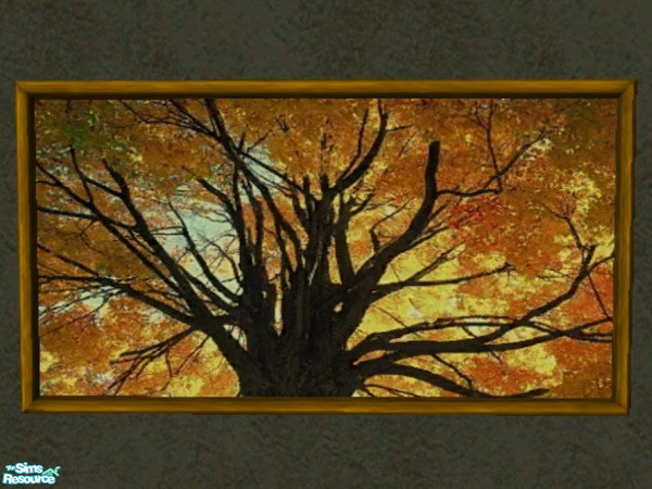 Sims 2 — It\'s An Orange World After All photo set - 2 by zaligelover2 — A recolor of \"Suspense\".