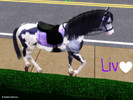 Sims 3 — Liv Johnston ~KMR by xkayleex2 — Liv Johnston ~KMR -Welsh Pony -Female Have fun !
