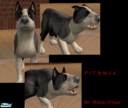 Sims 2 — Bull Terrier by Metal-Virus — A very realistic Bull Terrier for your sims to train, maybe to kill or maybe