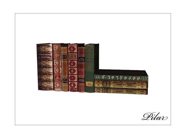 Sims 3 — old books by Pilar — Creado por Pilar para sism3