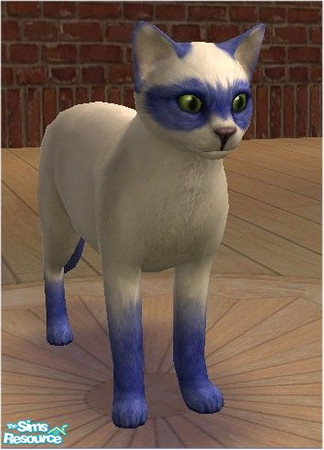 Sims 2 — Blue Bandit Cat by melinorn — Part of my Bandit Cat Series. Requires unlockables bandit cat pattern and furs. 