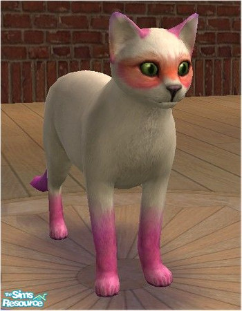 Sims 2 — Goofy Bandit Cat by melinorn — Part of my Bandit Cat Series. Requires unlockables bandit cat pattern and furs. 