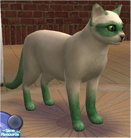 Sims 2 — Green Bandit Cat by melinorn — Part of my Bandit Cat Series. Requires unlockables bandit cat pattern and furs. 
