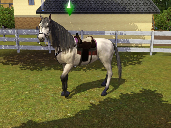 Sims 3 — Heraldico by Soucii — Male Horse - Andalusian