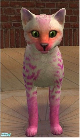 Sims 2 — Tie-Dye Flame by melinorn — Part of my flame series. Requires unlockable furs for cats.