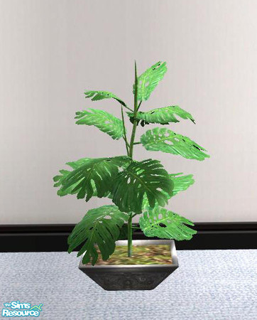 Sims 2 — PB Homeoffice - Potted Plant by ShinoKCR — 