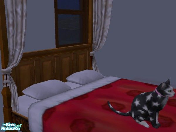 Sims 2 — Lady by hacc2258 — A charming little kitty looking to have fun, and a special family to love her. Warning this