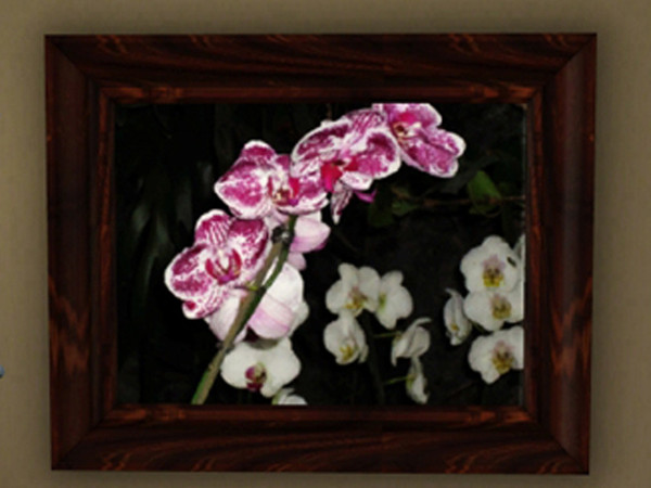 Sims 3 — Flower paintings by Silerna — 4 different flower paintings of photographs I made myself