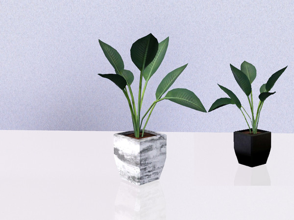 Sims 3 — Turin Plant 01 by IrishStar — Turin Plant 01 by IrishStar @TSR 2012