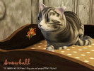 Sims 3 — Snowball by MonochromeLife2 — MonochromeLife@TSR