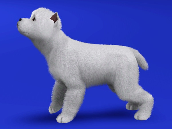 Sims 3 — West Highland White Terrier by LizardDaughter — West Highland White Terrier
