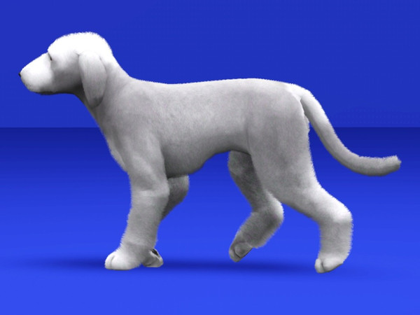 Sims 3 — Bedlington Terrier by LizardDaughter — Bedlington Terrier!!