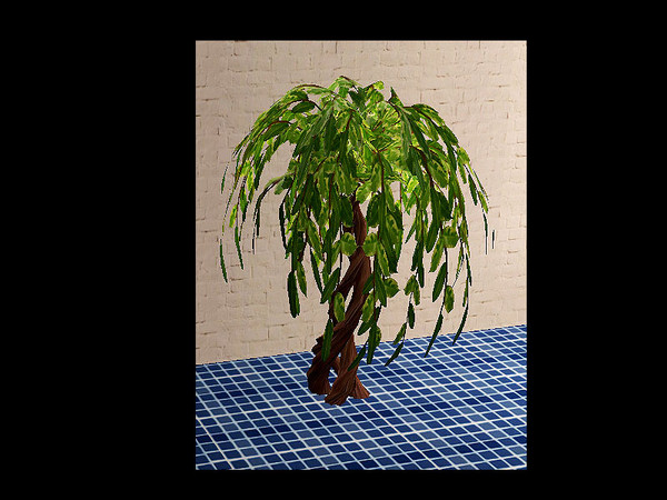 Sims 2 — nounie - plant by steffor — 