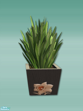 Sims 2 — Samsara - Plant Pot 01 by Shakeshaft — Part of a recolour of my Samsara Set, with vibrant red fabrics and modern