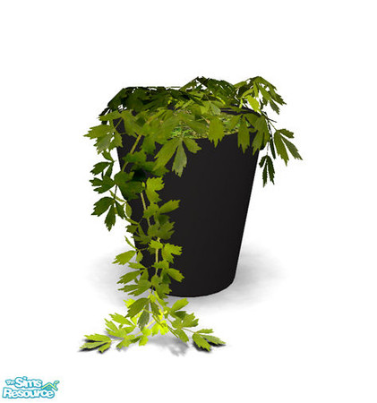 Sims 2 — Minore Bedroom - Plant by Murano — Plant with leaves hanging to the ground.