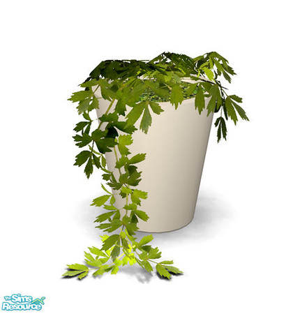 Sims 2 — Minore Bedroom - White Plant Recolor by Murano — Plant with leaves hanging to the ground.