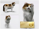 Sims 3 — Persian Cat - Butters by LuckyFortune — Breed: Persian Gender: Male Age: Adult Color: Calico Traits: Playful |
